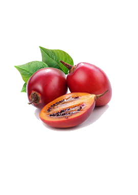 Tomato